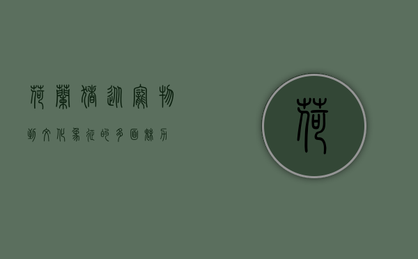 荷兰猪，从宠物到文化象征的多面魅力