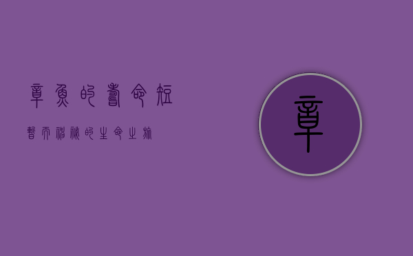 章鱼的寿命，短暂而神秘的生命之旅