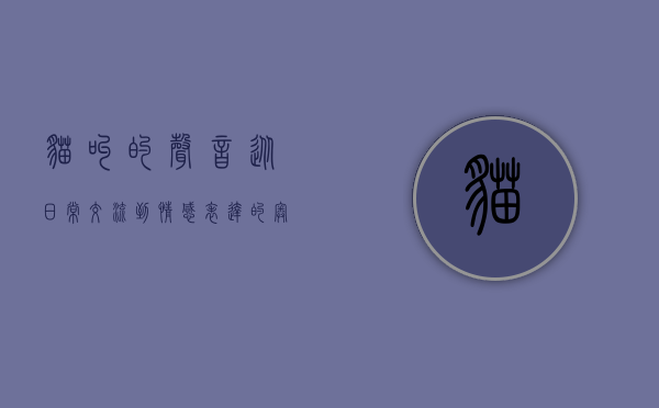 猫叫的声音，从日常交流到情感表达的奥秘