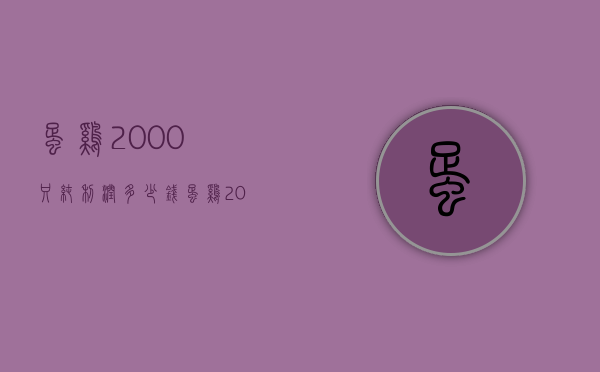 蛋鸡2000只纯利润多少钱（蛋鸡2000只纯利润多少钱一斤）