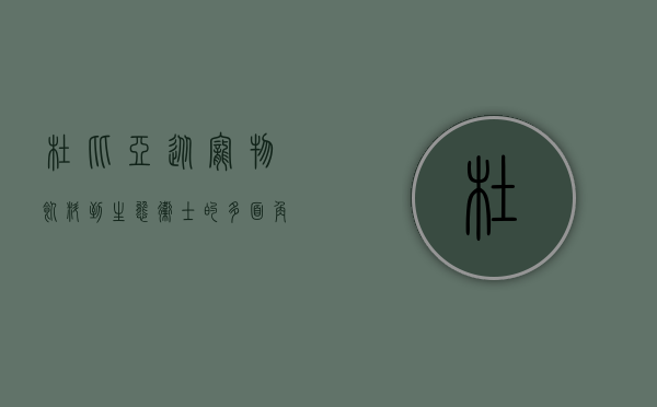 杜比亚，从宠物饲料到生态卫士的多面角色