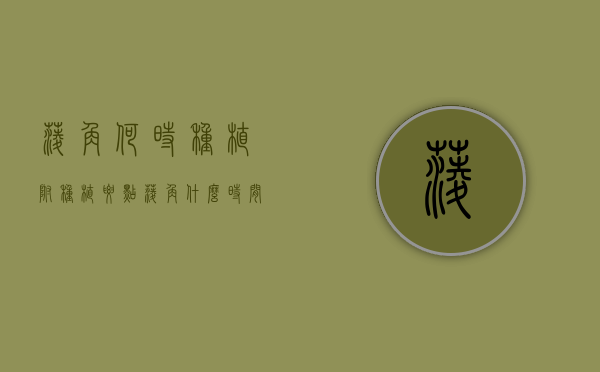 菱角何时种植，附种植要点（菱角什么时间种植）