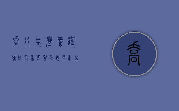 乔木怎么养护（种植乔木需要注意些什么）