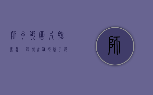 狮子狗图片，探索这一独特犬种的魅力与历史