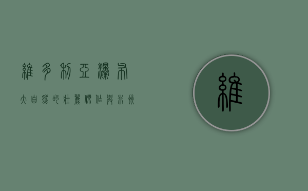维多利亚瀑布，大自然的壮丽杰作与非洲的瑰宝