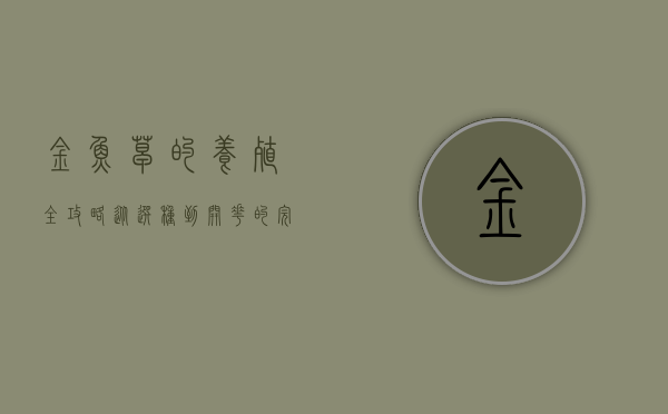 金鱼草的养殖全攻略,从选种到开花的完美指南 金鱼草的养殖全攻略,从选种到开花的完美指南