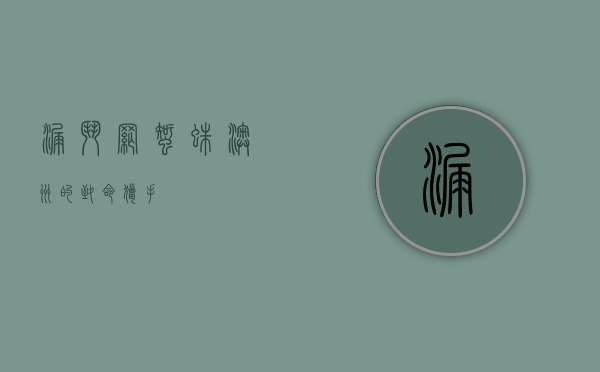 漏斗网蜘蛛，澳洲的致命猎手
