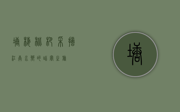 塘栖枇杷采摘，江南水乡的甜蜜之旅