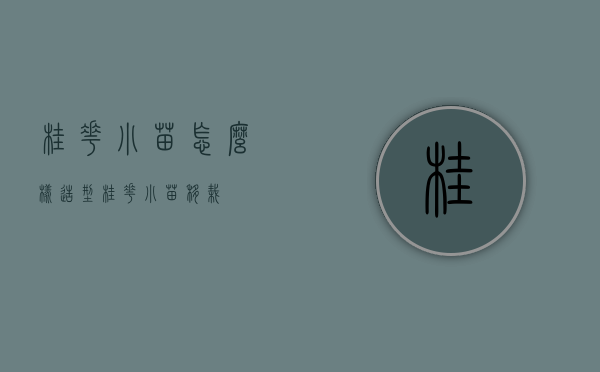 桂花小苗怎么样造型（桂花小苗移栽）