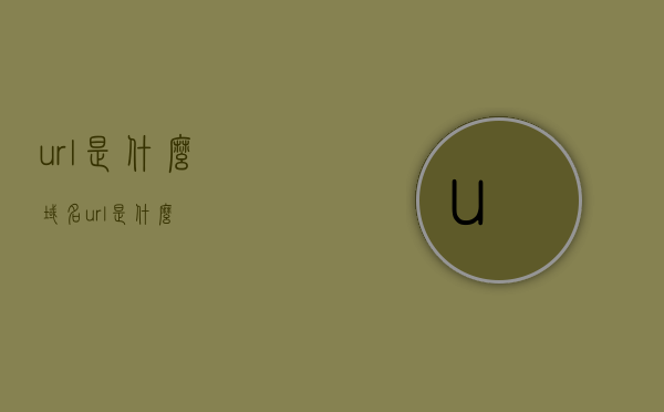 url是什么（域名url是什么）