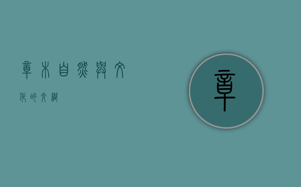 樟木，自然与文化的交织