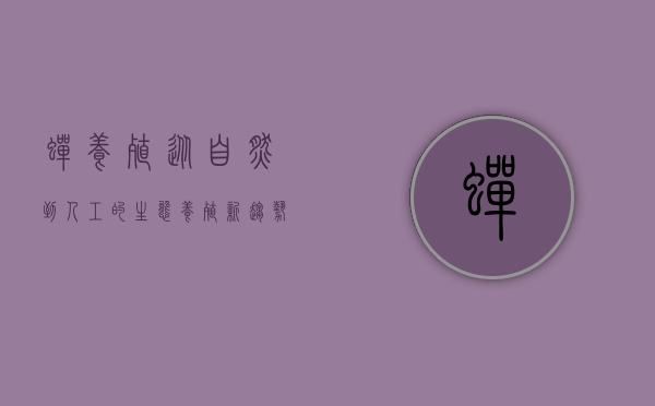 蝉养殖，从自然到人工的生态养殖新趋势