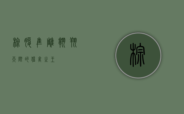 棕腹隼雕，翱翔天际的猛禽之王