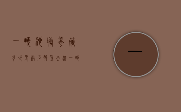 一亩池塘养殖多少尾溪石斑鱼合适（一亩地能养多少溪石斑鱼）
