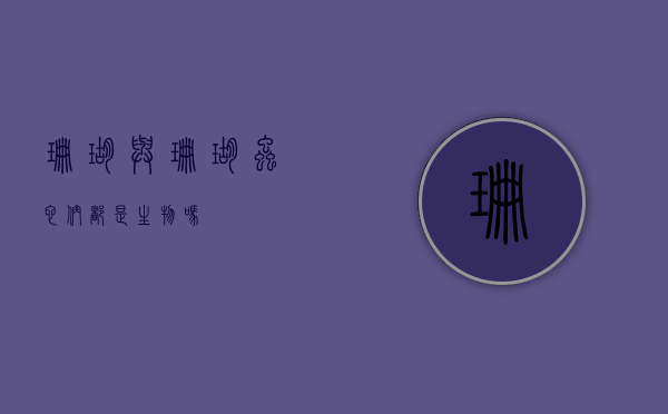 珊瑚与珊瑚虫，它们都是生物吗？
