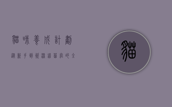 猫咪养成计划，从新手到资深铲屎官的全面指南
