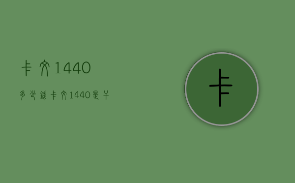 卡文1440多少钱（卡文1440是干嘛的）