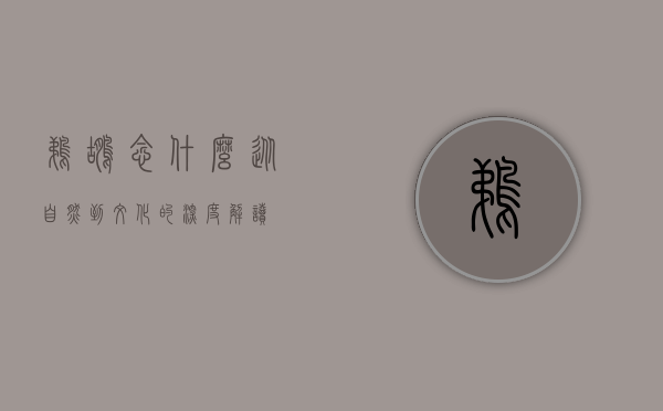 鹈鹕念什么，从自然到文化的深度解读