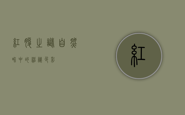 红腹之谜，自然界中的神秘色彩