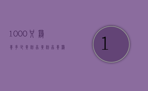 1000只鸡养多少黄粉虫（黄粉虫养鸡技术）