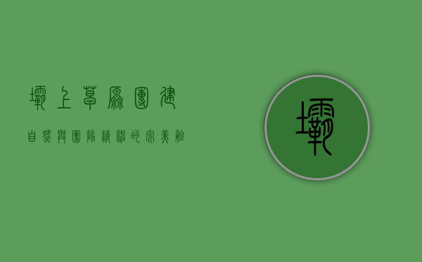 坝上草原团建，自然与团队精神的完美融合