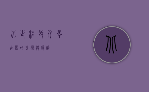 北少林寺，千年古刹的武术与禅韵