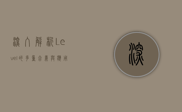 深入解析Level的多重含义与应用场景
