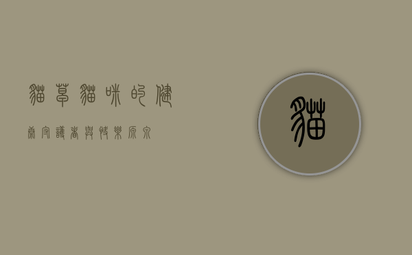 猫草，猫咪的健康守护者与快乐源泉