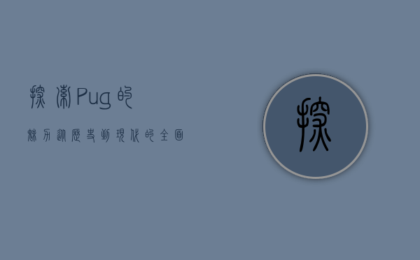 探索Pug的魅力，从历史到现代的全面解析