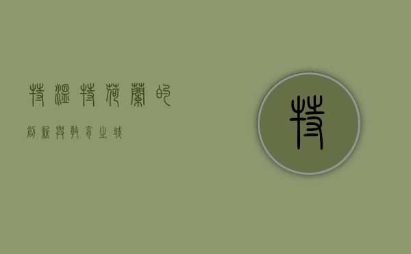 特温特，荷兰的创新与教育之城