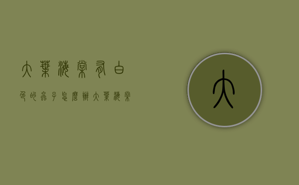 大叶海棠有白色的虫子怎么办（大叶海棠有白色的虫子怎么办图片）