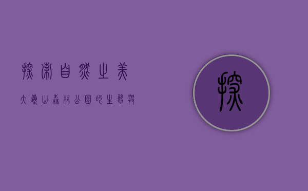 探索自然之美，大岭山森林公园的生态与人文之旅