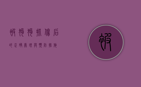 被狗狗抓伤后的正确处理与预防措施