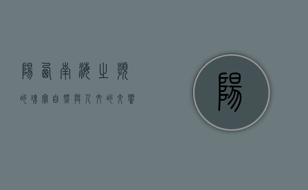 阳西，南海之滨的瑰宝，自然与人文的交响曲