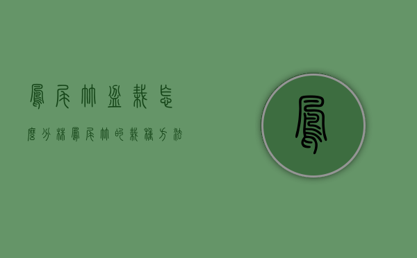 凤尾竹盆栽怎么分株（凤尾竹的栽种方法）
