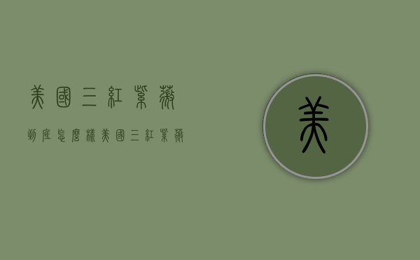 美国三红紫薇到底怎么样（美国三红紫薇到底怎么样啊）