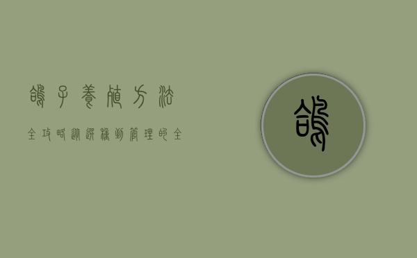 鸽子养殖方法全攻略，从选种到管理的全面指南
