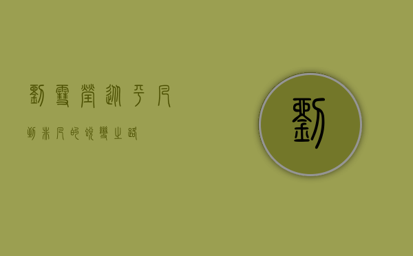 刘雪莹，从平凡到非凡的蜕变之路