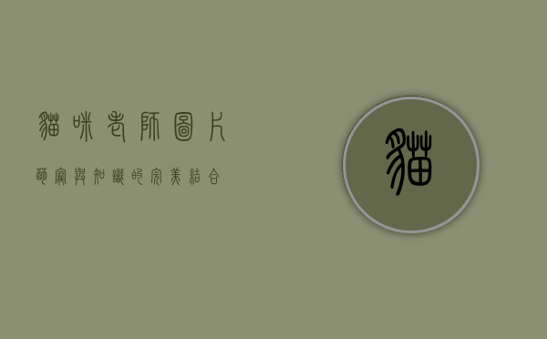 猫咪老师图片，萌宠与知识的完美结合