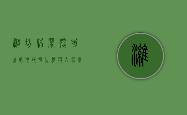 潍坊休闲，探寻城市中的慢生活与自然之美