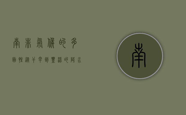 南非气候的多面性，从干旱到丰沛的降水