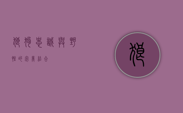 狼狗，忠诚与野性的完美结合