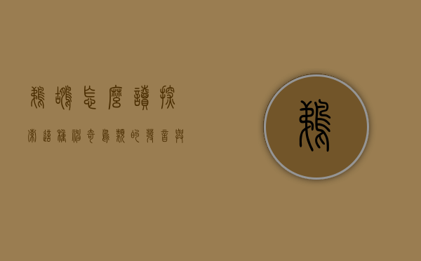 鹈鹕怎么读？探索这种神奇鸟类的发音与生态