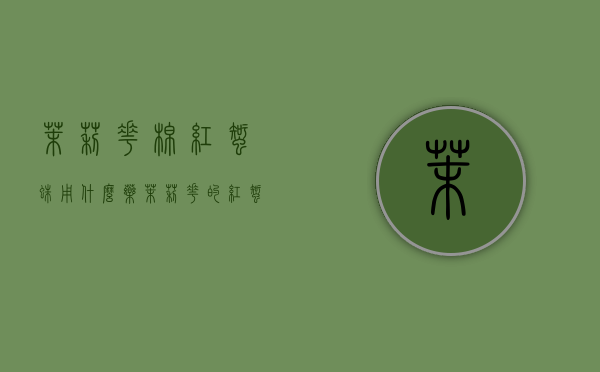 茉莉花棉红蜘蛛用什么药？（茉莉花的红蜘蛛怎么办）