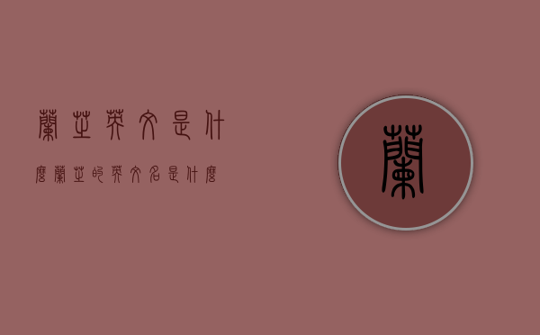 兰芝英文是什么（兰芝的英文名是什么）