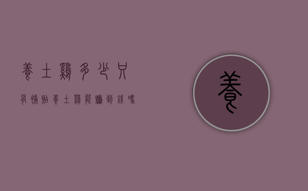 养土鸡多少只有补贴（养土鸡能赚到钱吗）