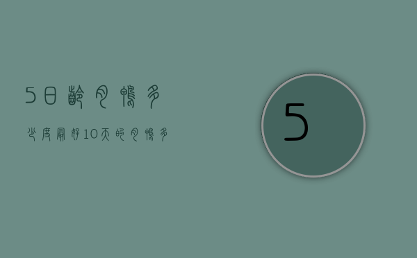 5日龄肉鸭多少度最好（10天的肉鸭多少度合适）