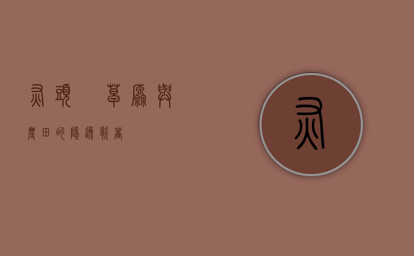 灰头鹀，草原与农田的隐逸歌者
