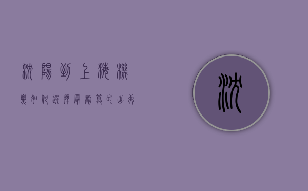 沈阳到上海机票，如何选择最划算的出行方式？
