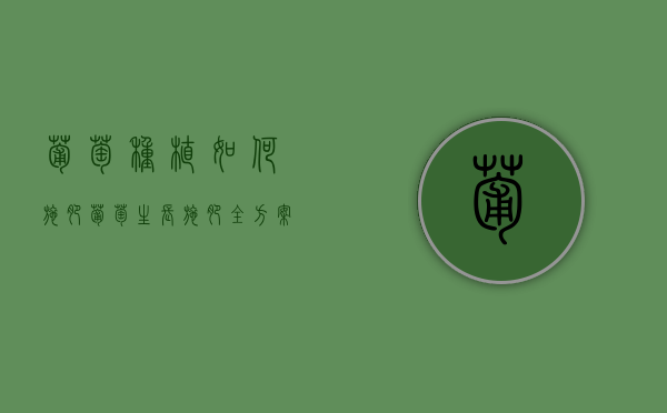 葡萄种植如何施肥 葡萄生长施肥全方案介绍（葡萄施肥技术方案怎么写）
